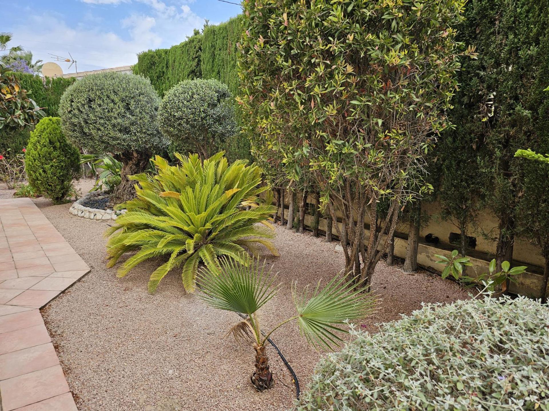 Luxury Villa - Pool, Hot Tub, Aircon, Tvs, Home Cinema, Office, Gbit Internet, Sports Equipment Calpe Buitenkant foto